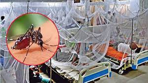 February 4 2025/images (3).jpg